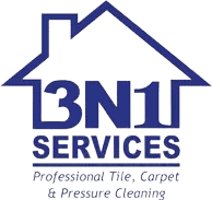 3n1 Services logo Icon